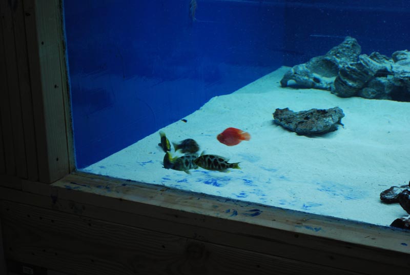 DSC_0195.JPG