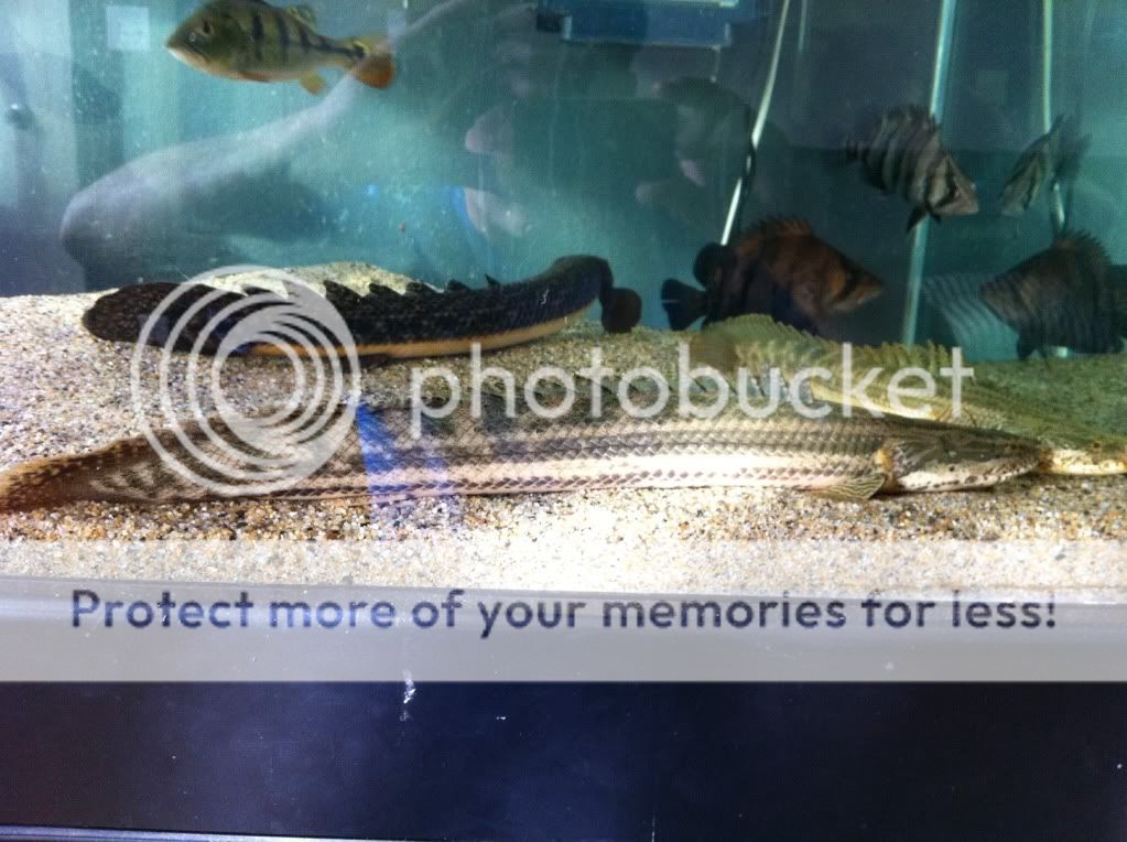 78699a73.jpg