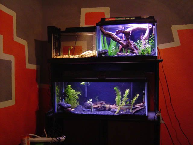 DSC04906.jpg