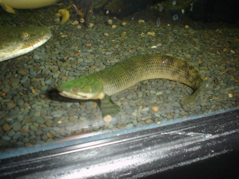 DSC09022.jpg