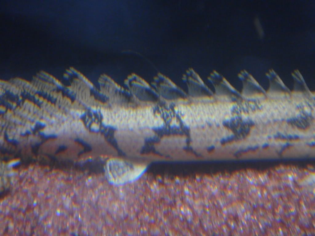 DSC01493.jpg