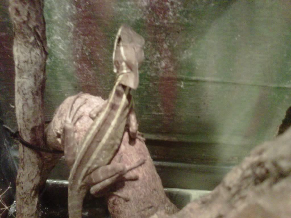 IMG00215-20110430-1844.jpg