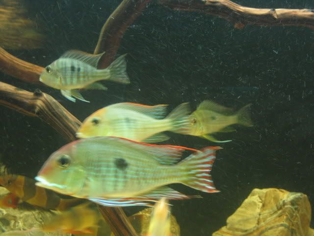 IMG_1709.jpg