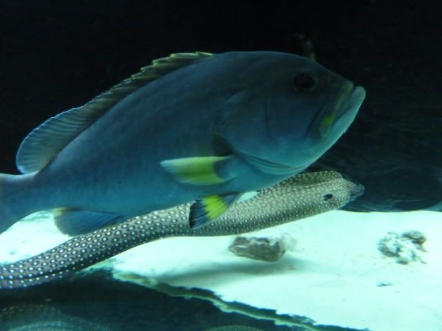 P1010234.jpg