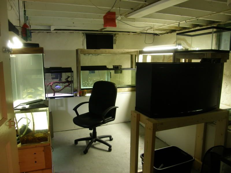 P9300259.jpg