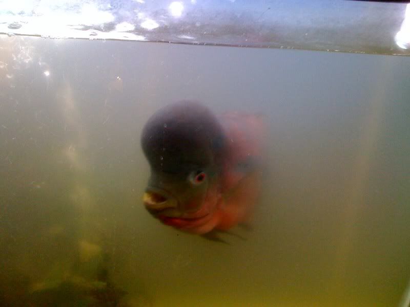 photo5.jpg