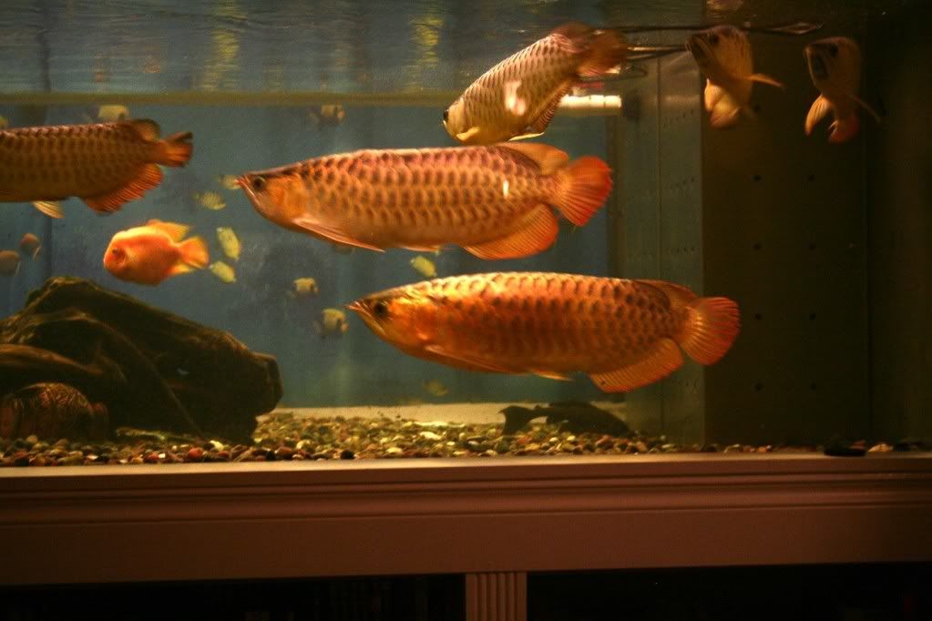 oct09116.jpg