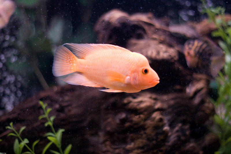 565635901_HdeP8-L.jpg