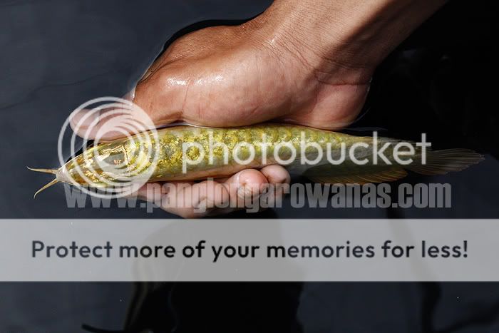 PL_329008copy.jpg
