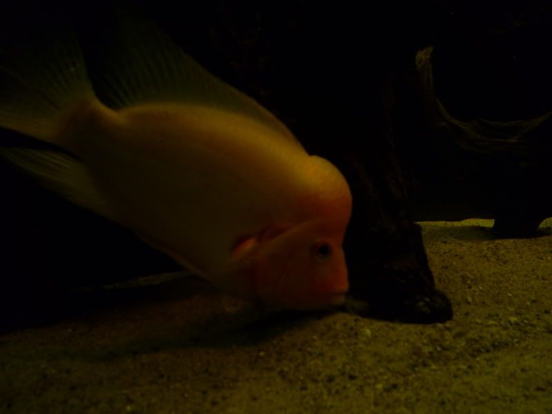 S5031319.jpg