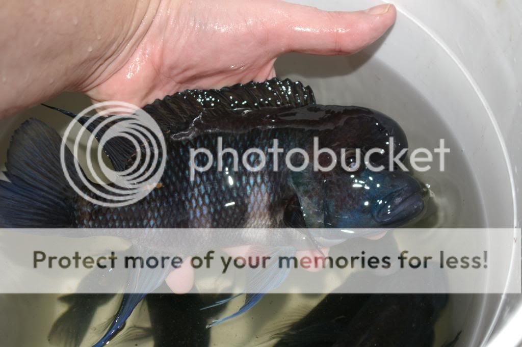 IMGP9190.jpg