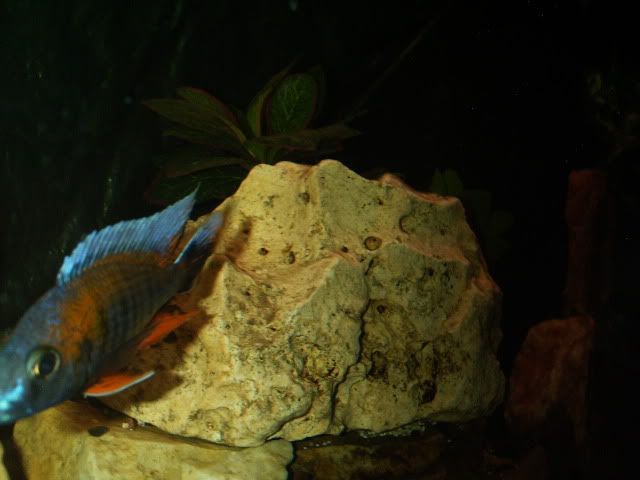 SCD40471.jpg