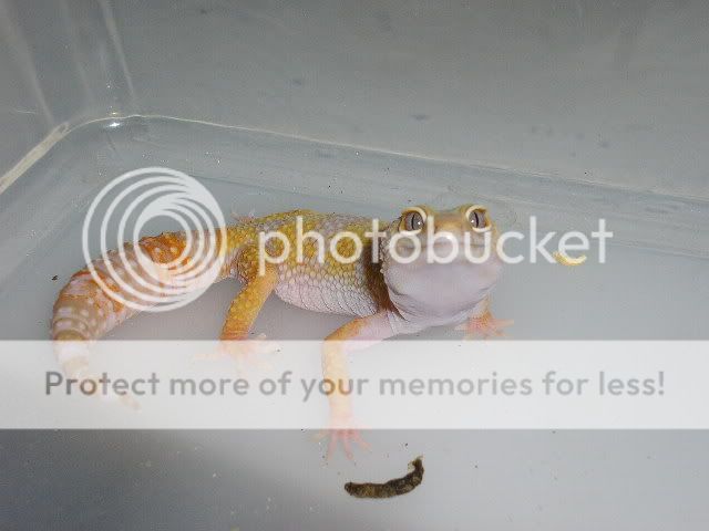 P1010288.jpg