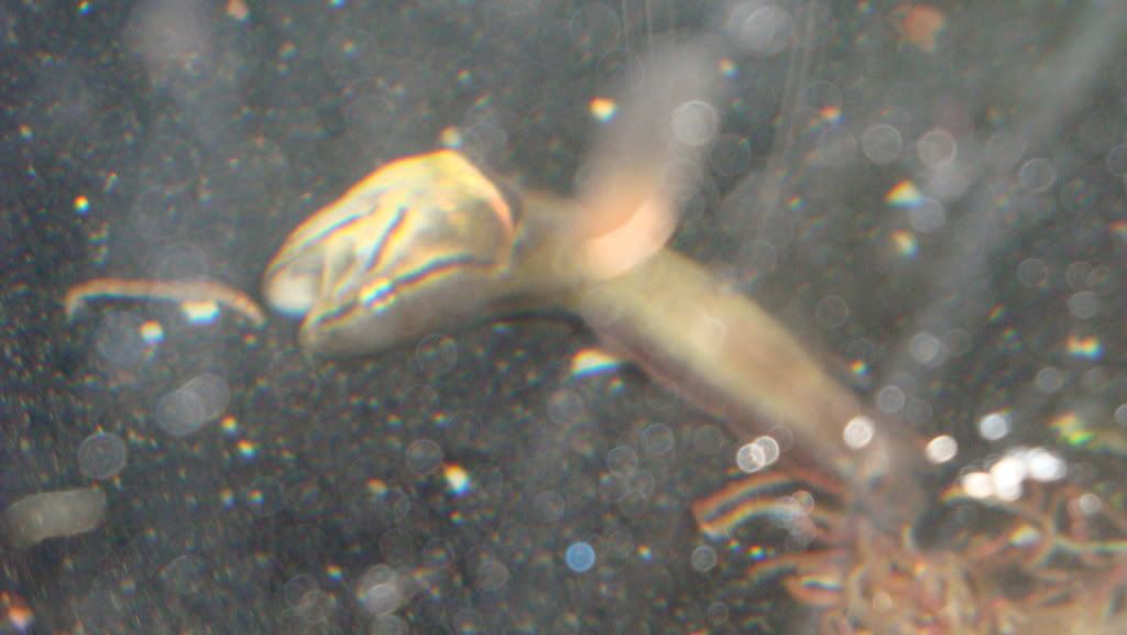 DSC01373.jpg