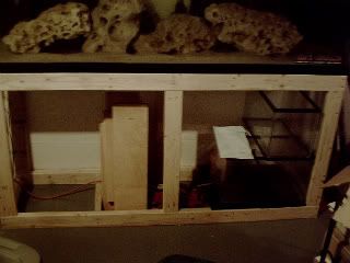 IMG_0013-1.jpg