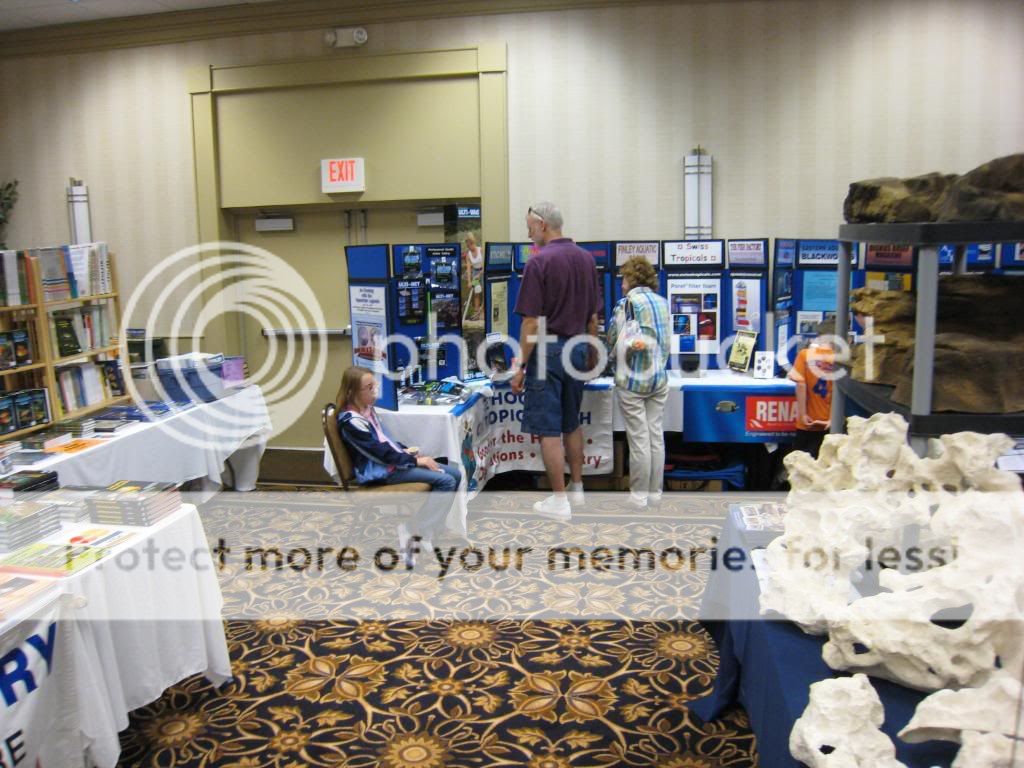 IMG_9278.jpg