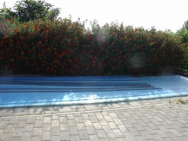 DSC02413.jpg