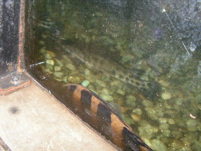 PICT0629.jpg