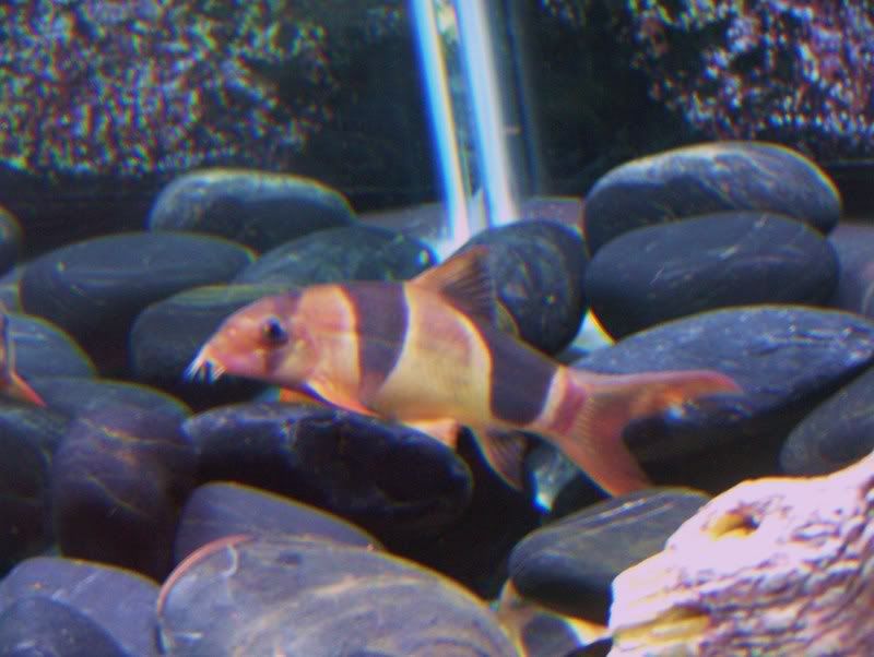 DSCF5247.jpg