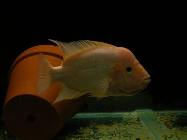 DSCF6880.jpg