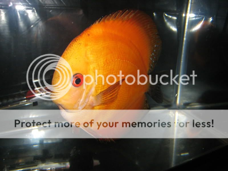 IMG_9185.jpg