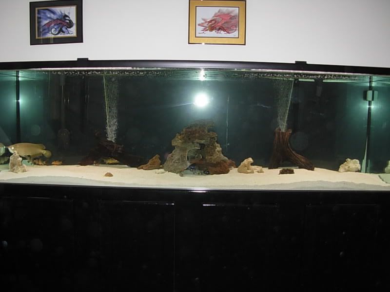 DSCN1305.jpg