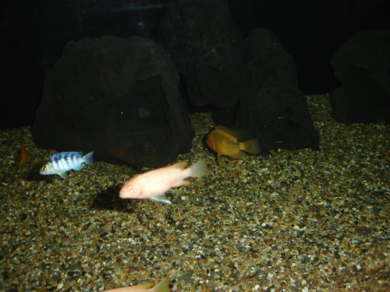 DSC02703.jpg