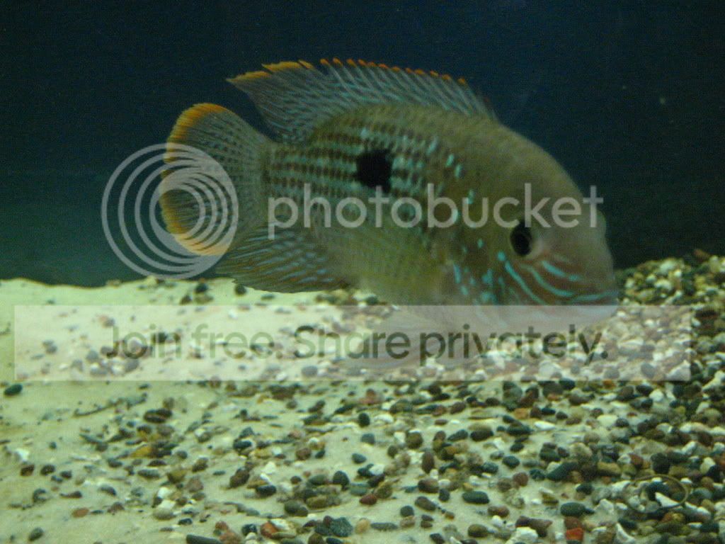 IMG_0846.jpg