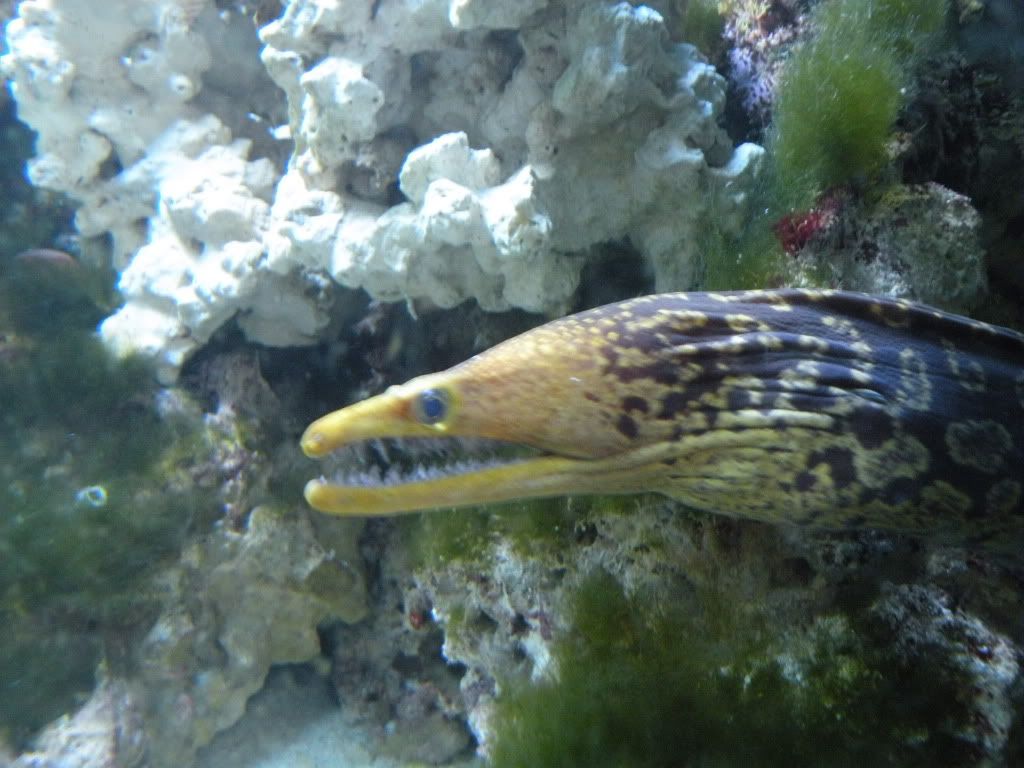DSCN1758.jpg