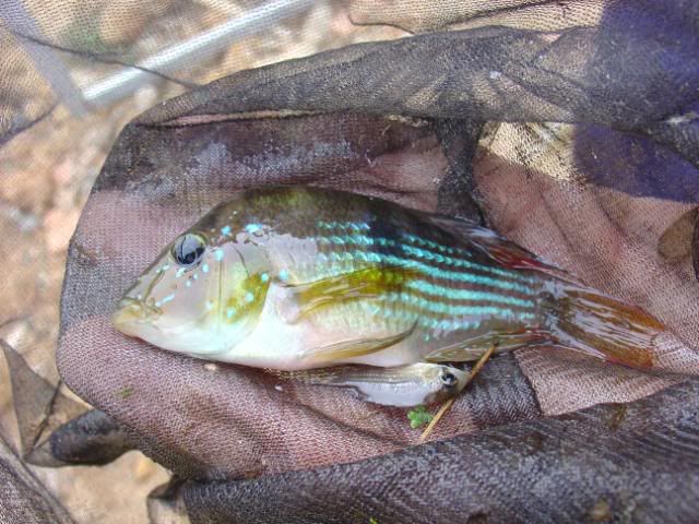 DSC08863.jpg