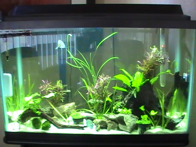 PIC_2665.jpg