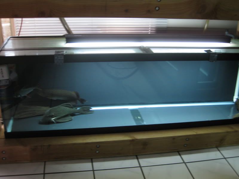 11-7-09026.jpg