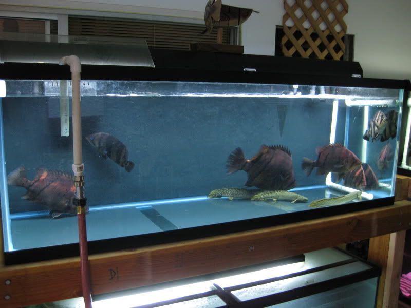11-7-09017.jpg