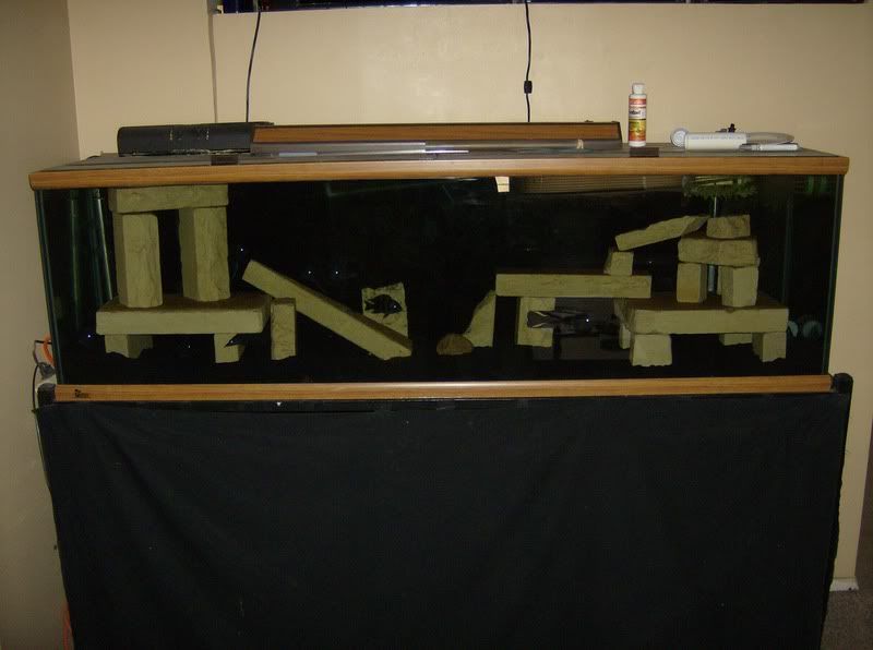 HPIM0252.jpg