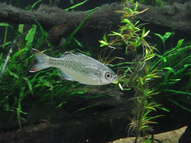 IMG_2437.jpg
