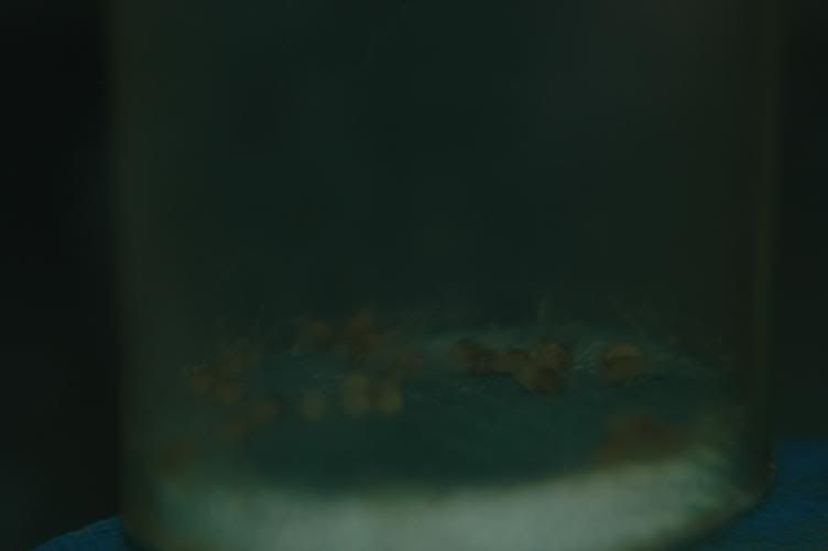 w1.jpg