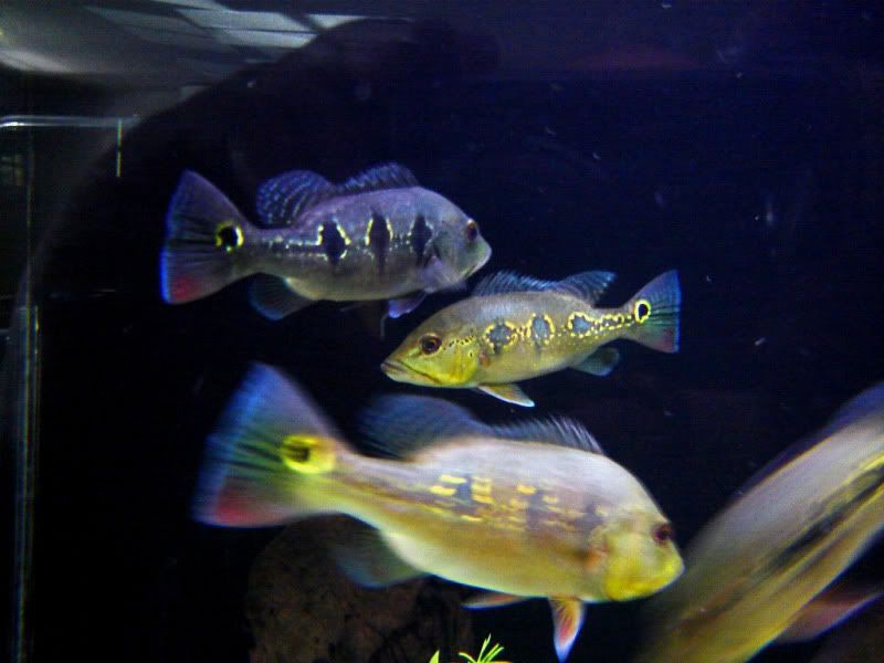 DSC07440.jpg