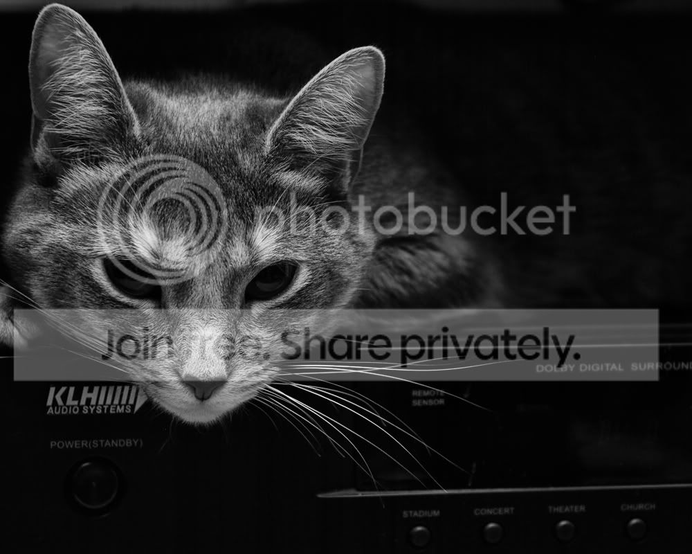 web1.jpg