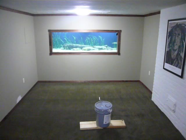 cameraclear108.jpg