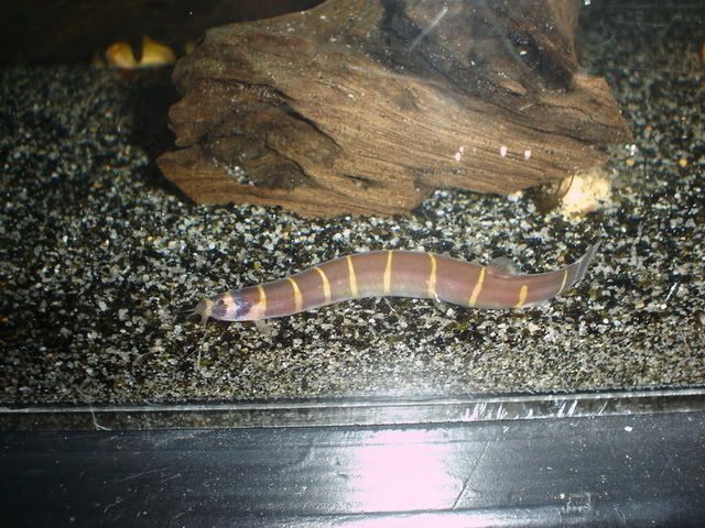 DSC09315.jpg