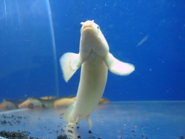DSC08659.jpg