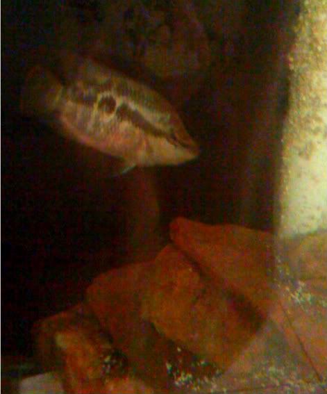 photo-42.jpg
