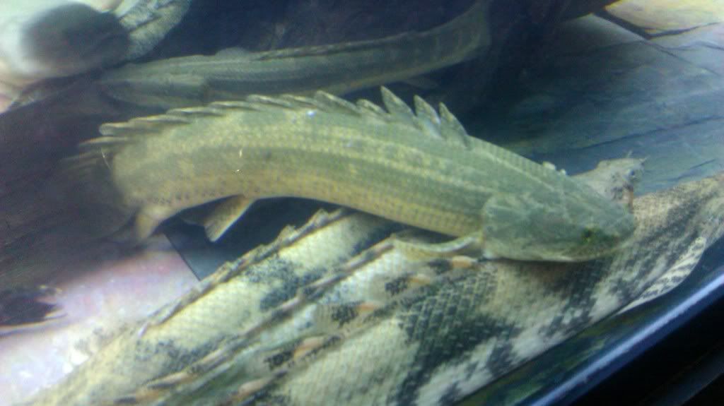 IMAG0761.jpg