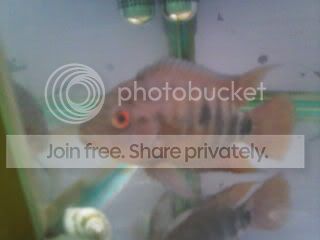 Fotoraf-0061-1.jpg