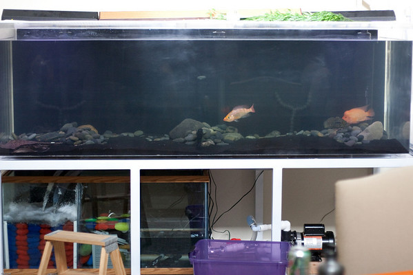 696072901_He243-M.jpg