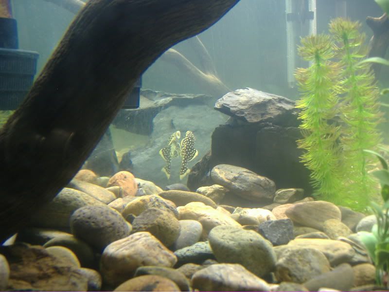 DSCF9233.jpg