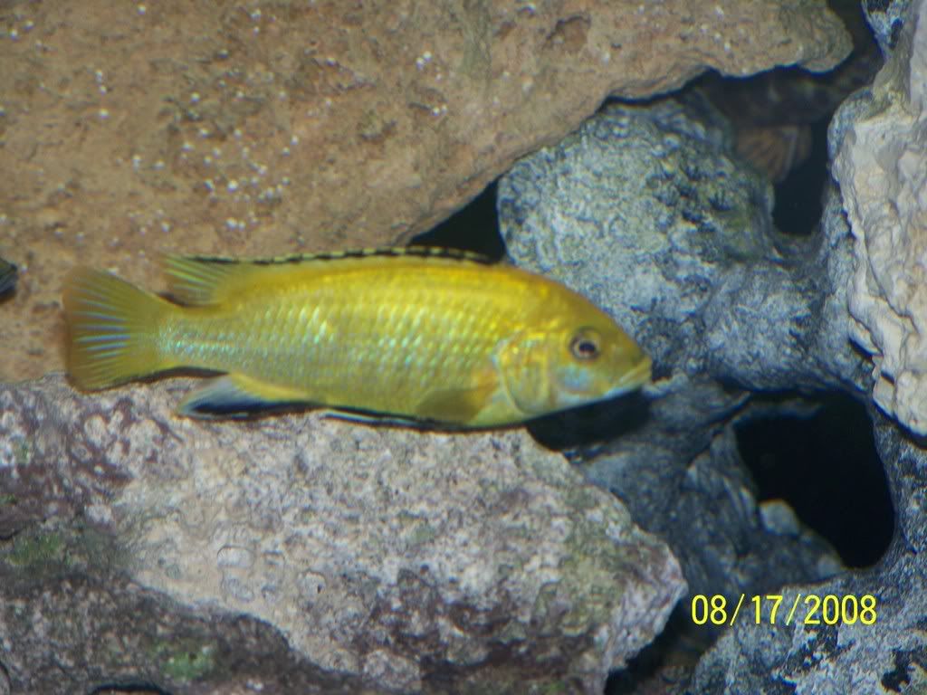 100_1015.jpg