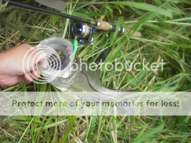 SNOOKLUVIAS.jpg