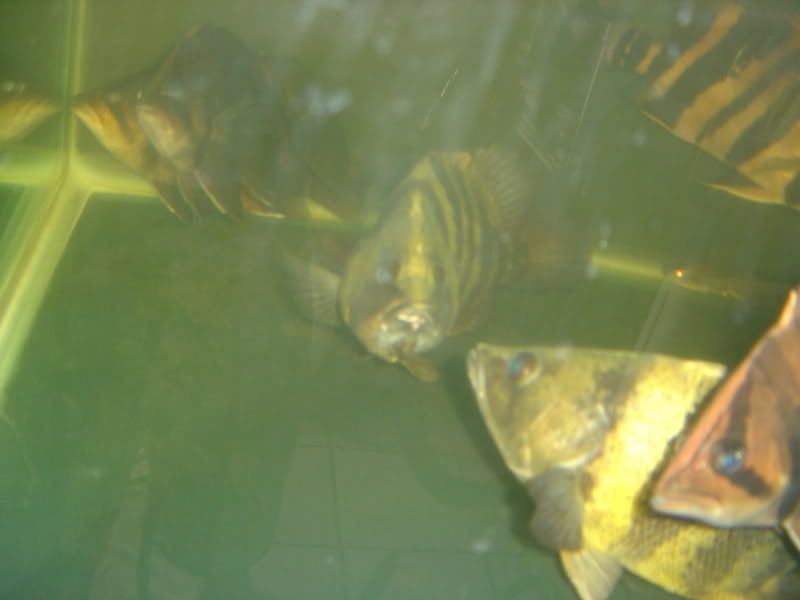 9-22-08004.jpg