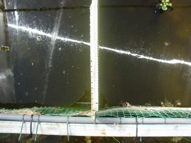 DSC04231.jpg